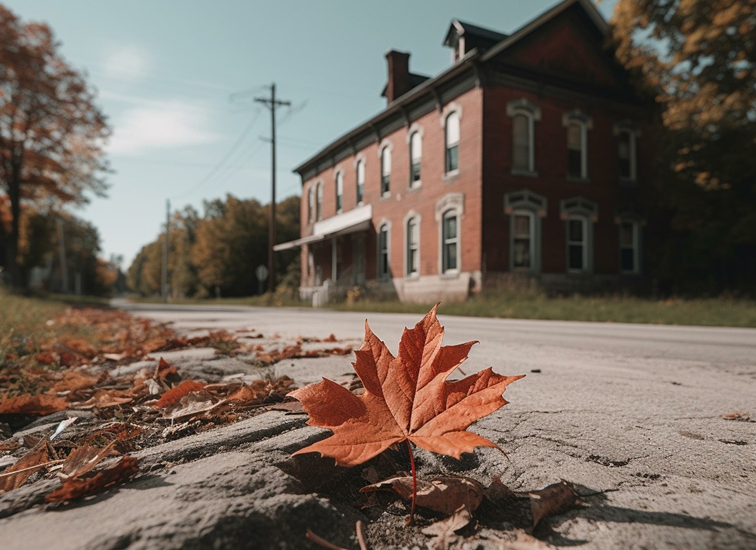 Mapleton, IA - Close-up of a Maple Leaf in Mapleton, IA